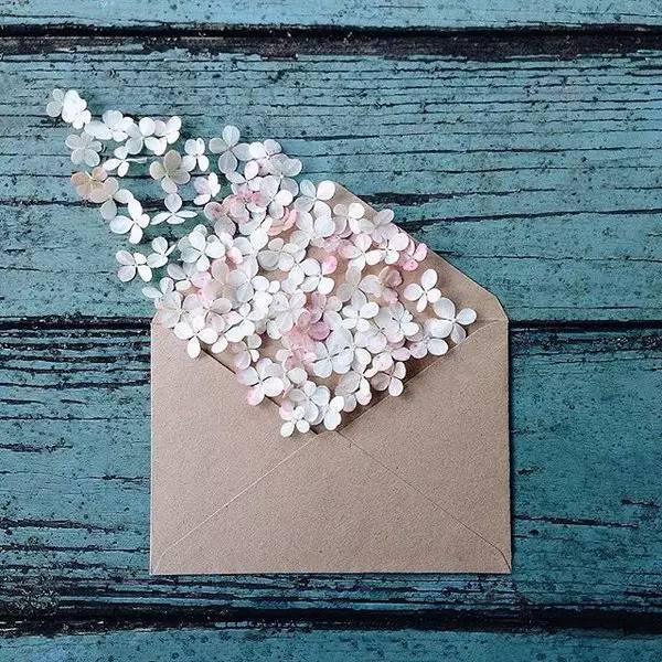 您有封信，請(qǐng)查收