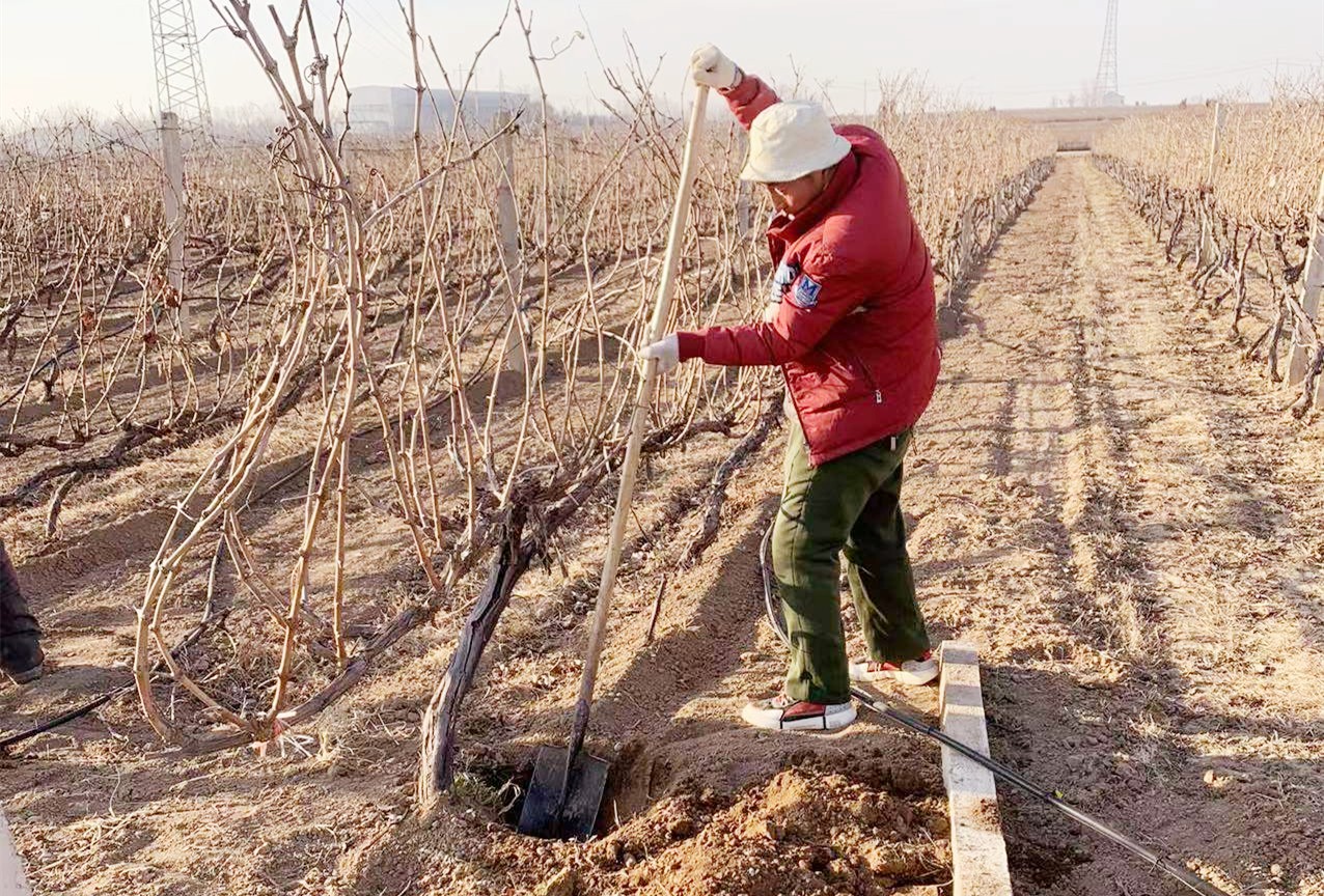 16401394271807.jpg 微信圖片_20211219165232.jpg