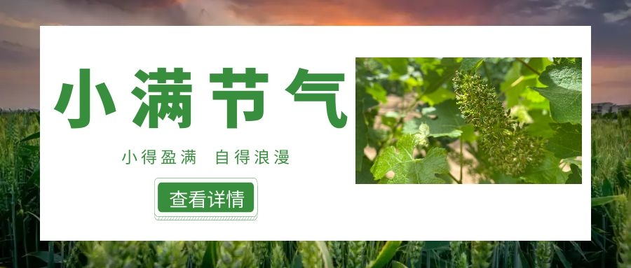 小滿 ▎小得盈滿，自得浪漫~