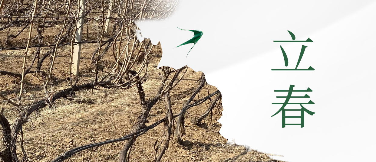 立春 ▎四序歲始，美好皆春