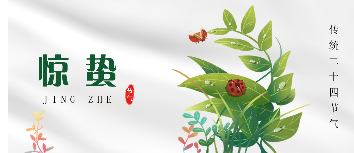 驚蟄 ▎雷鳴春醒，萬物生長