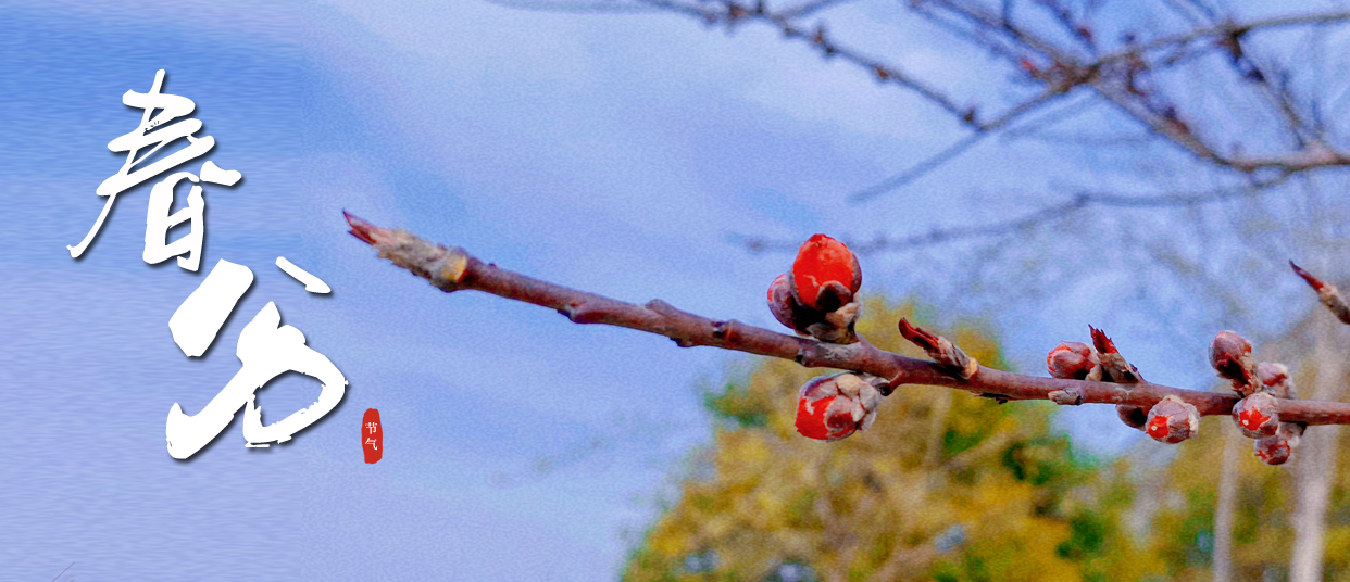 春分 ▎春光滿園，蓬勃生長