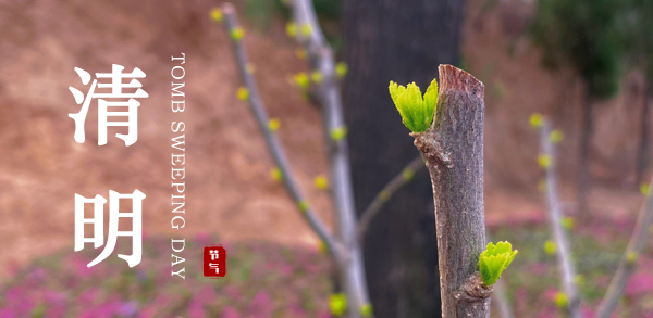 清明 ▎新風(fēng)潤(rùn)雨，萬(wàn)物皆顯