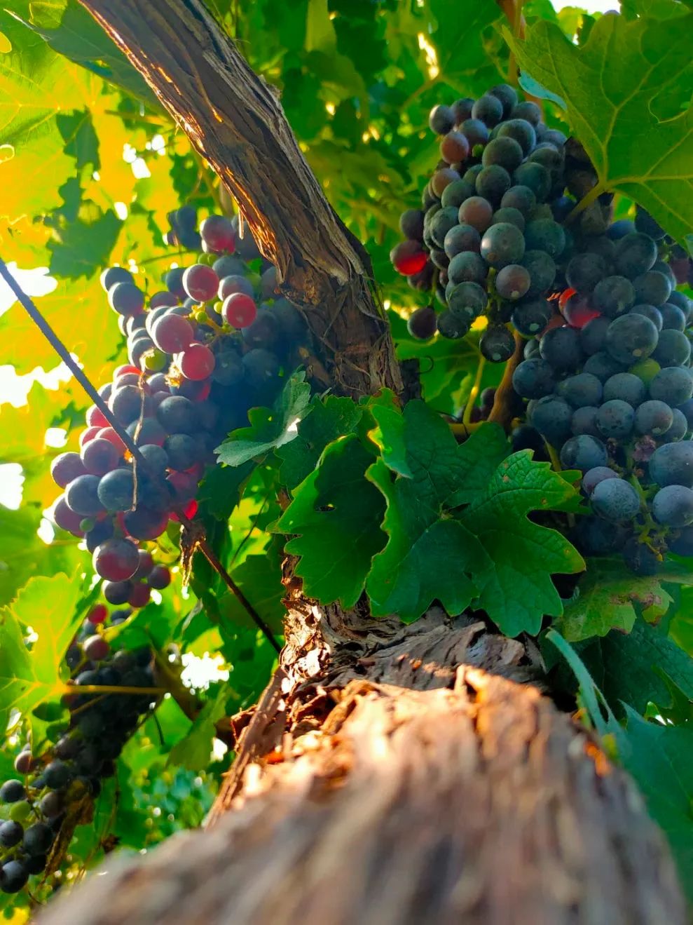 17113530501992.jpg 1f3313437a7deb507312d2f65a2a8ee5.jpg