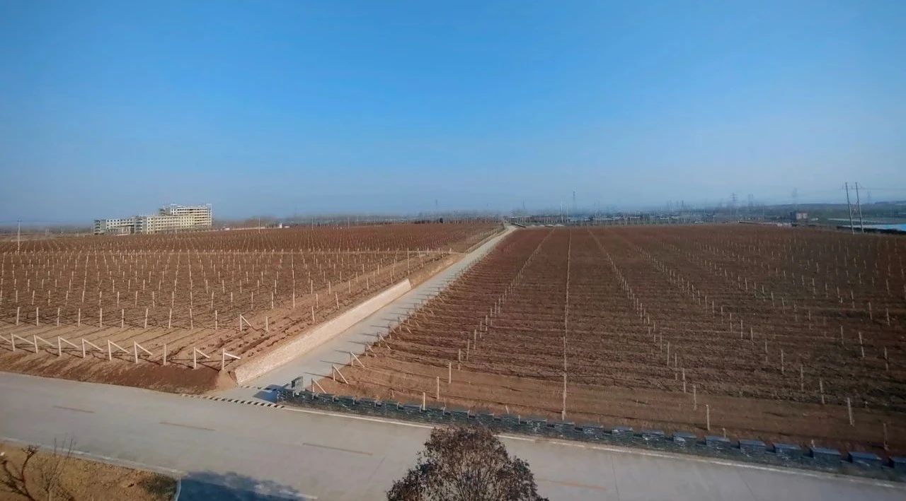 17114233555303.jpg 4ca627e65b5f59bdd06cdbb415b7bed5.jpg