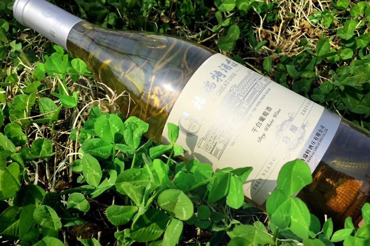 17206862292343.jpg cb3c387309b882aca206d44d50833d12.jpg