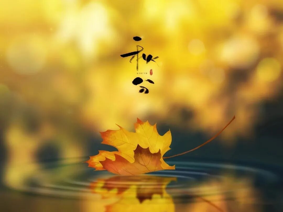 秋分，在格瑞特莊園與時(shí)光對飲